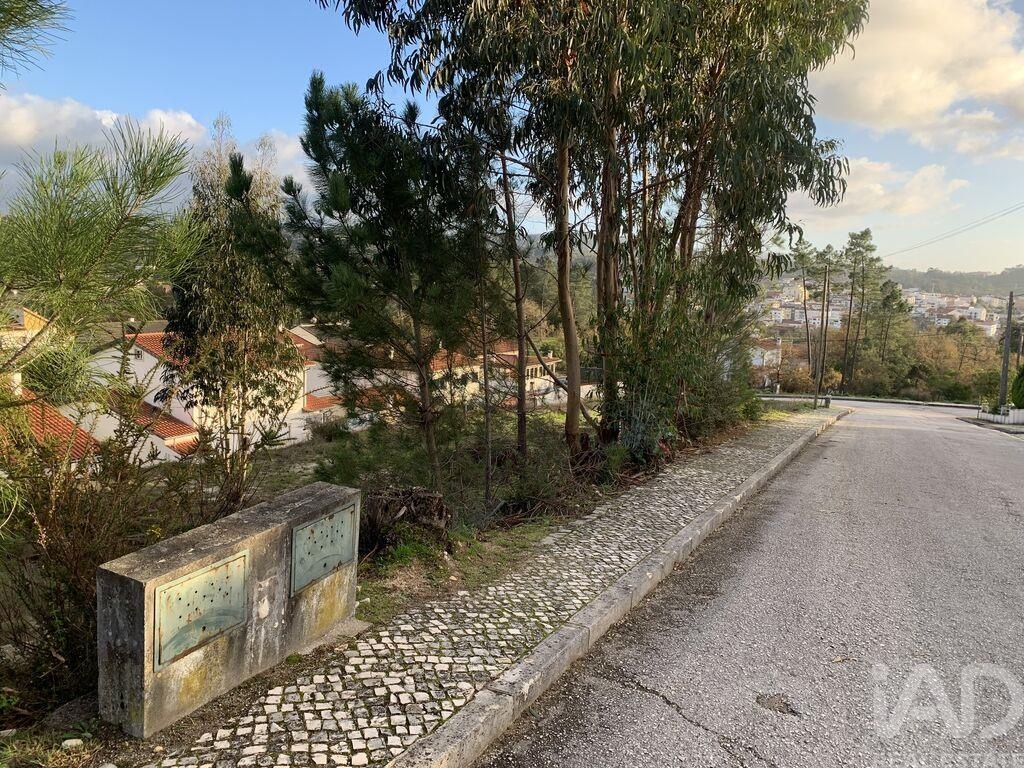Plot / Land in Ansião, Leiria