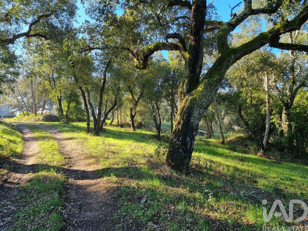 Perceel / Land in Poiares, Vila Nova de Poiares, Coimbra