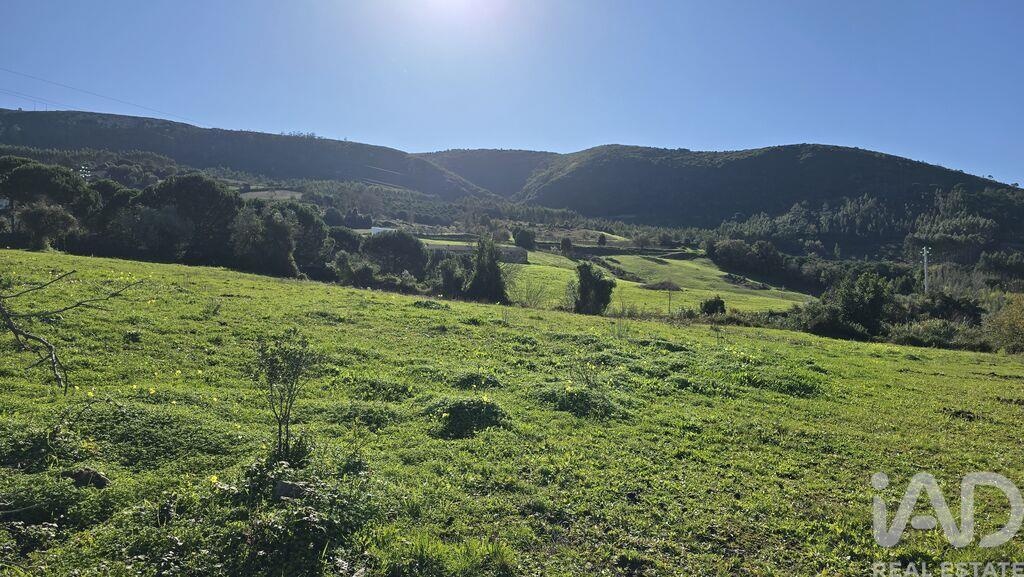 Plot / Land in Cadaval, Lisboa