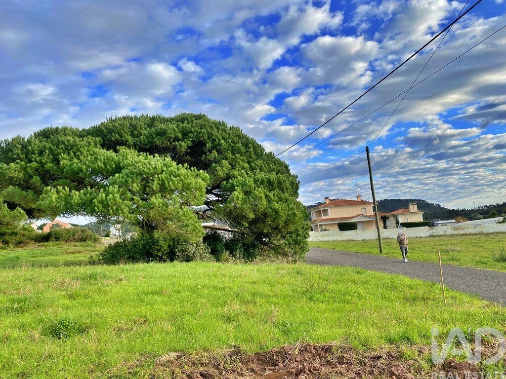 Plot / Land in Caldas da Rainha, Leiria