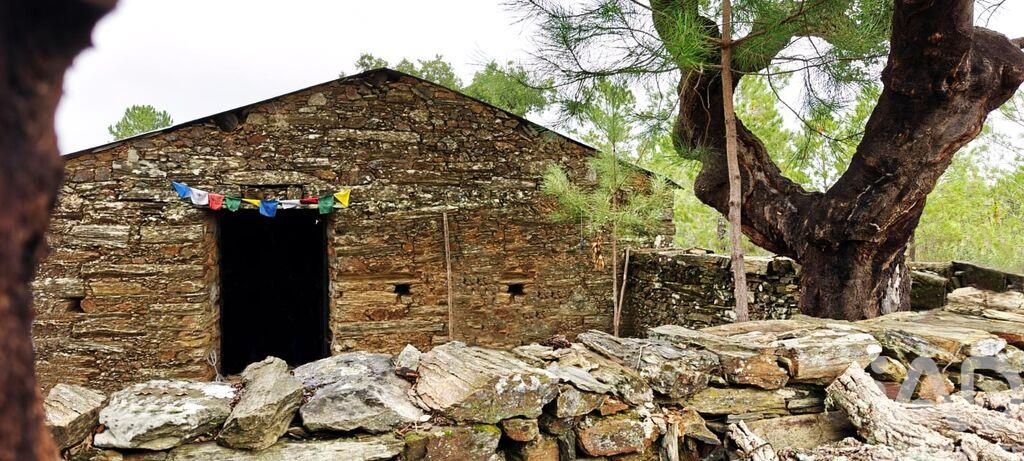 Boerderij in Castelo Branco, Mogadouro, Bragança