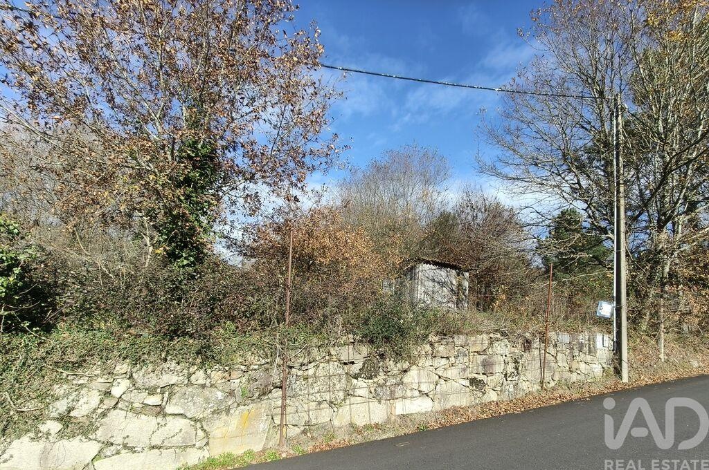 Plot / Land in Vila Nova de Cerveira, Viana do Castelo