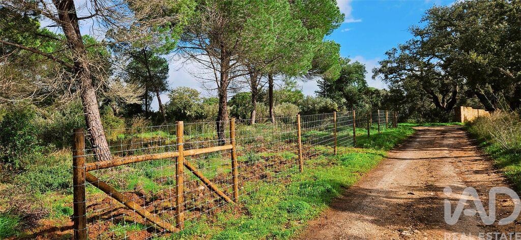 Plot / Land in Lagos, Western Algarve