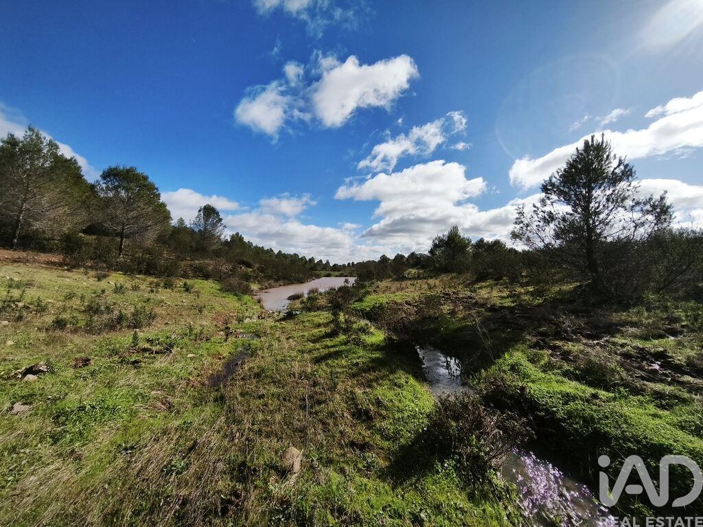 Plot / Land in Mértola, Beja