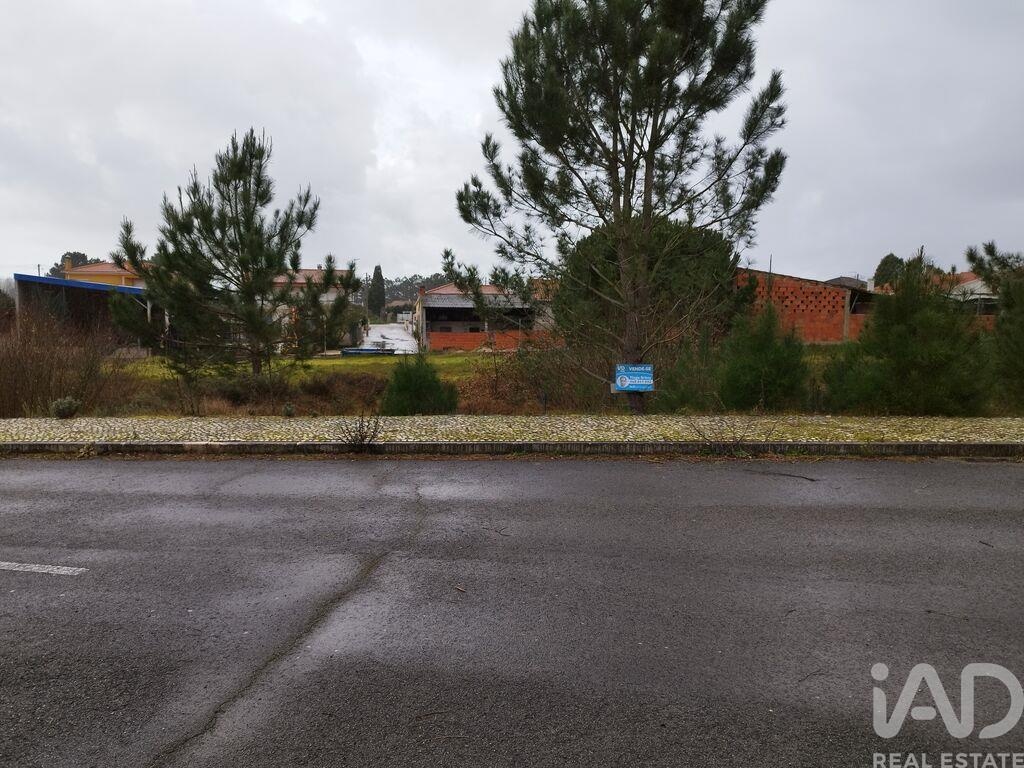 Plot / Land in Alcobaça, Leiria