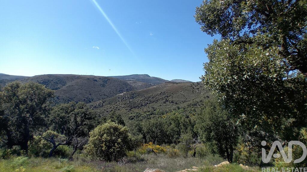 Perceel / Land in Torre de Moncorvo, Bragança