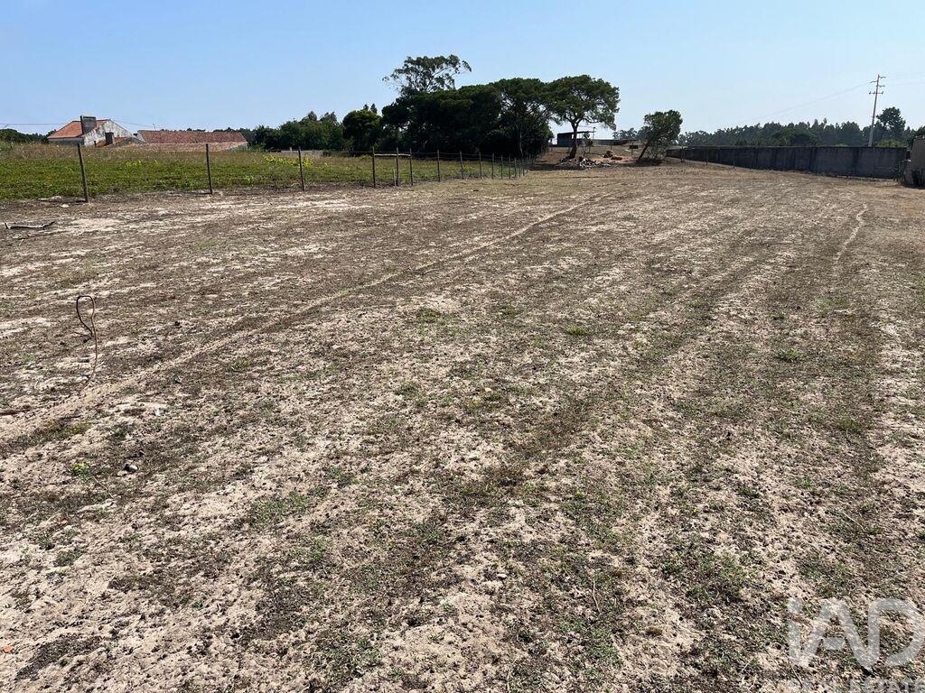 Plot / Land in Caldas da Rainha, Leiria