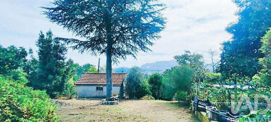 3 bed Farm in Vila Nova de Cerveira, Viana do Castelo