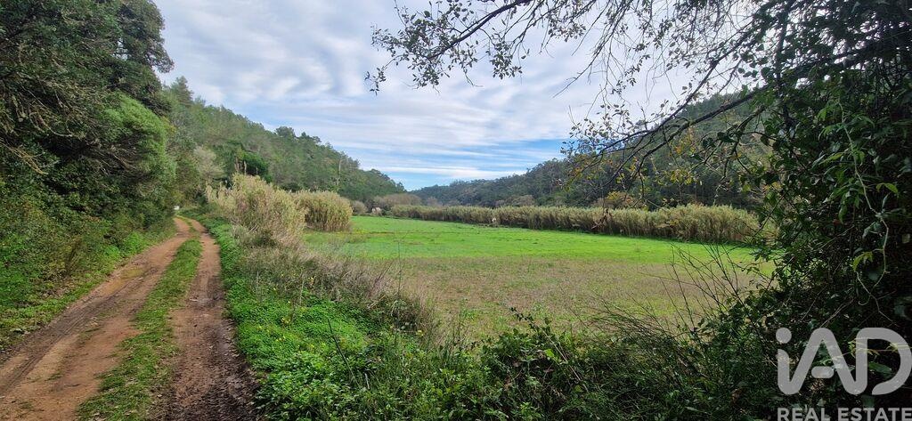 Plot / Land in Mafra, Lisboa
