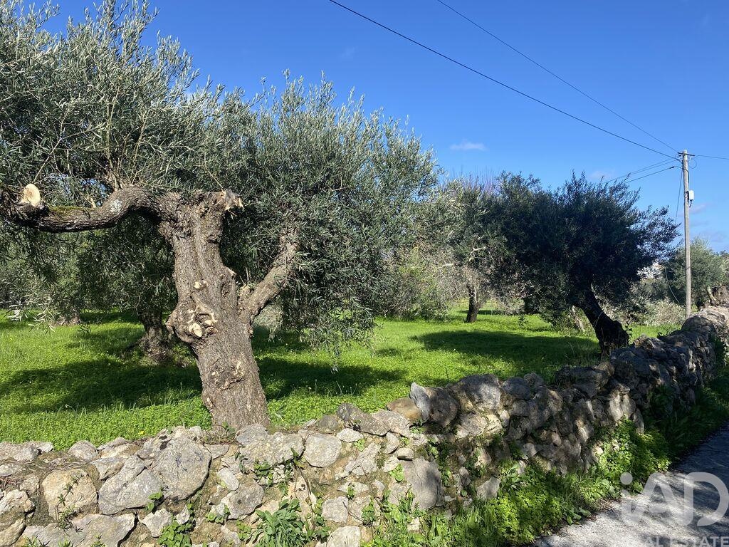 Plot / Land in São Brás de Alportel, Western Algarve