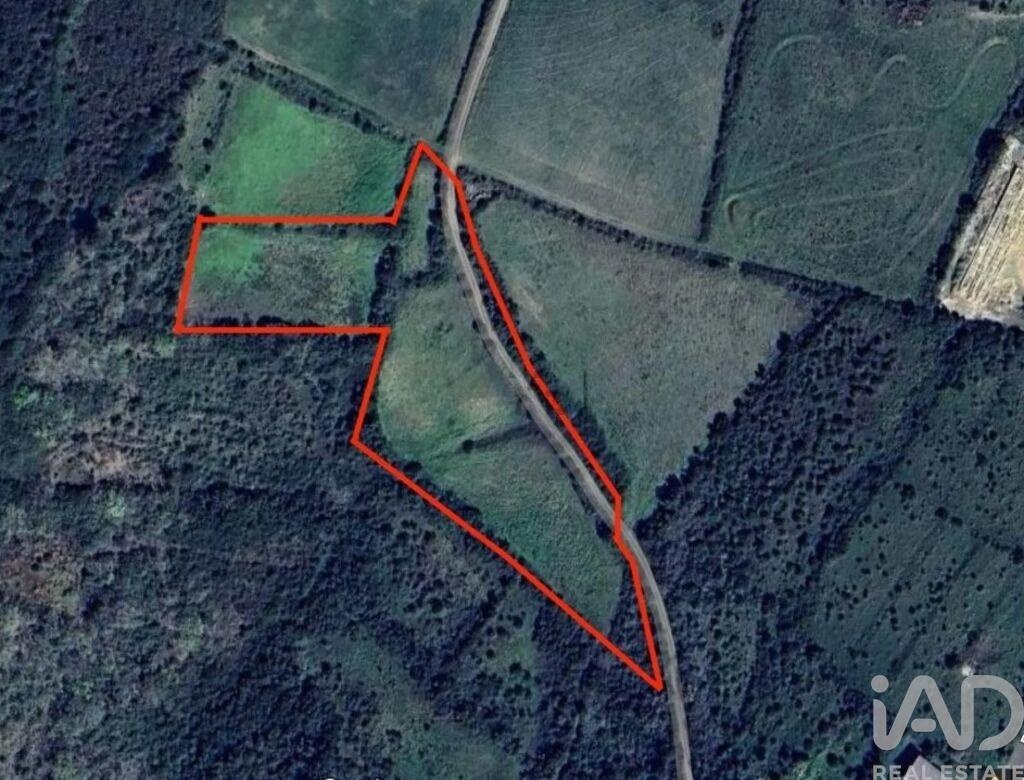 Plot / Land in Mafra, Lisboa