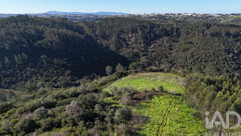 Plot / Land in Mafra, Lisboa