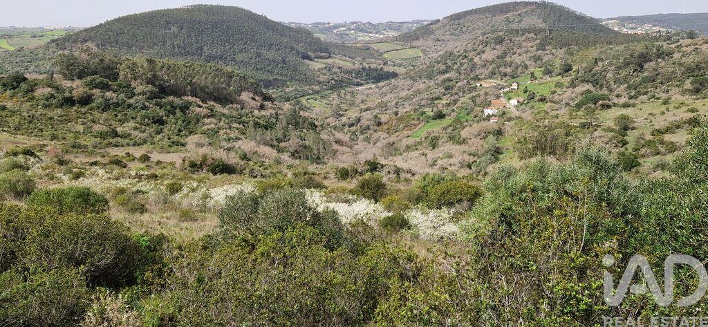 Plot / Land in Mafra, Lisboa