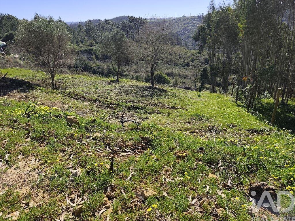 Plot / Land in Mafra, Lisboa