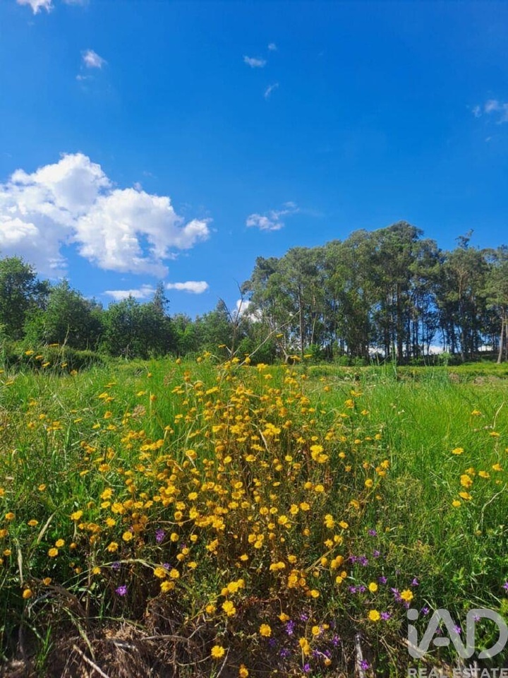 Plot / Land in Penafiel, Porto