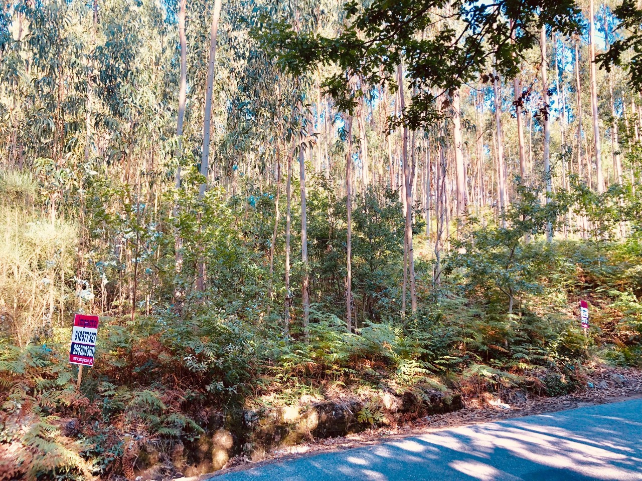 Plot / Land in Santa Maria da Feira, Aveiro
