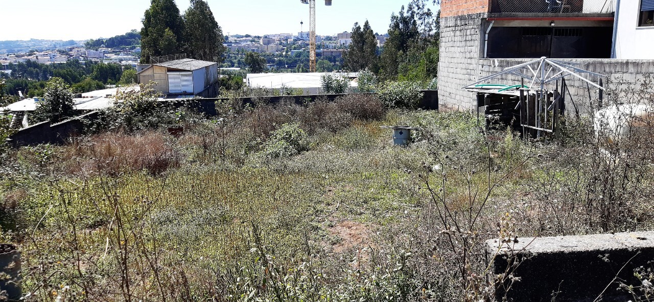 Plot / Land in Oliveira de Azeméis, Aveiro