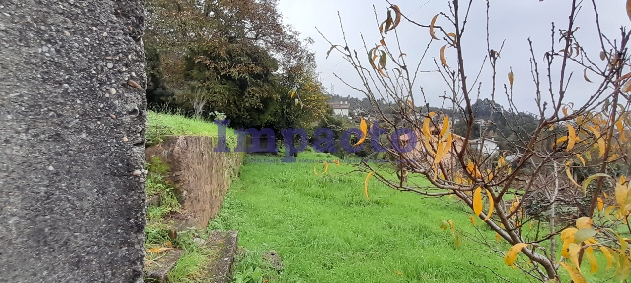 Plot / Land in Oliveira de Azeméis, Aveiro