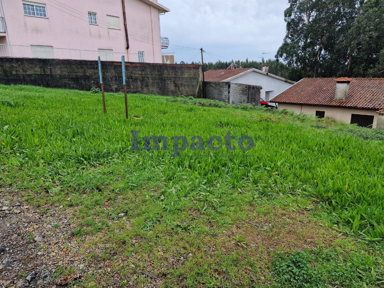 Plot / Land in Oliveira de Azeméis, Aveiro