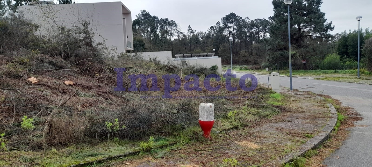 Plot / Land in Oliveira de Azeméis, Aveiro