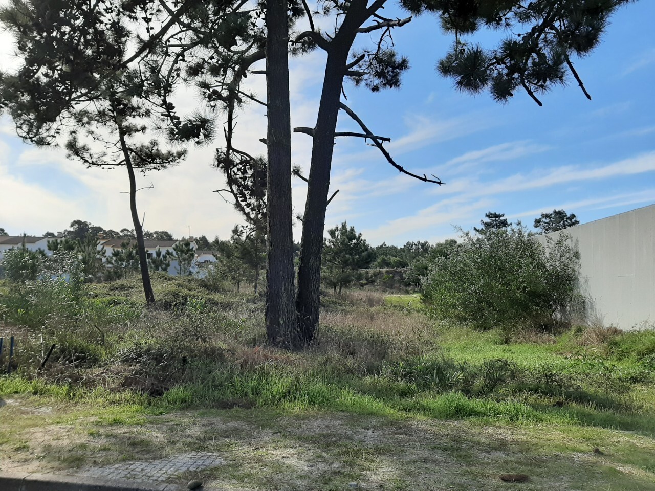 Plot / Land in Murtosa, Aveiro