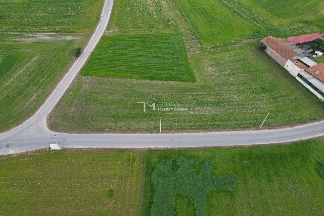 Plot / Land in Bunheiro, Murtosa, Aveiro