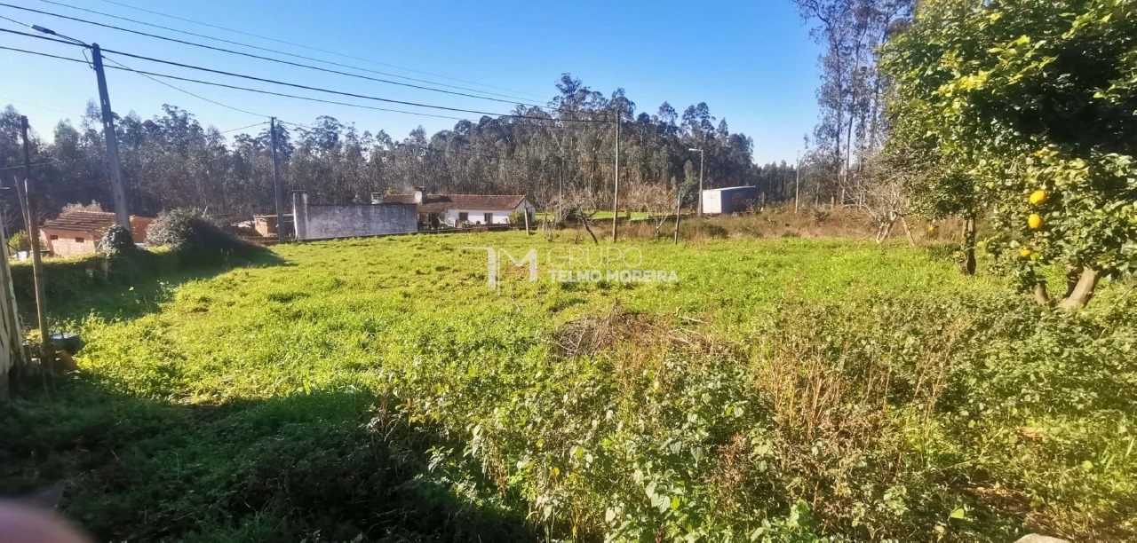 Plot / Land in Válega, Ovar, Aveiro