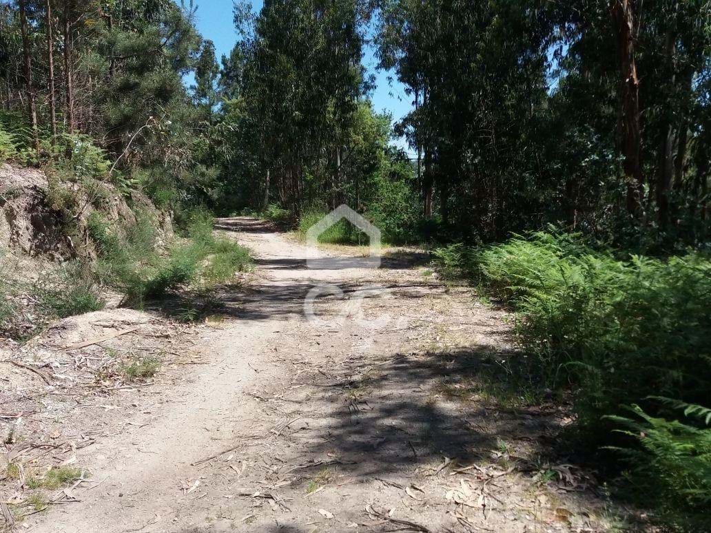 Perceel / Land in Valpedre, Penafiel, Porto