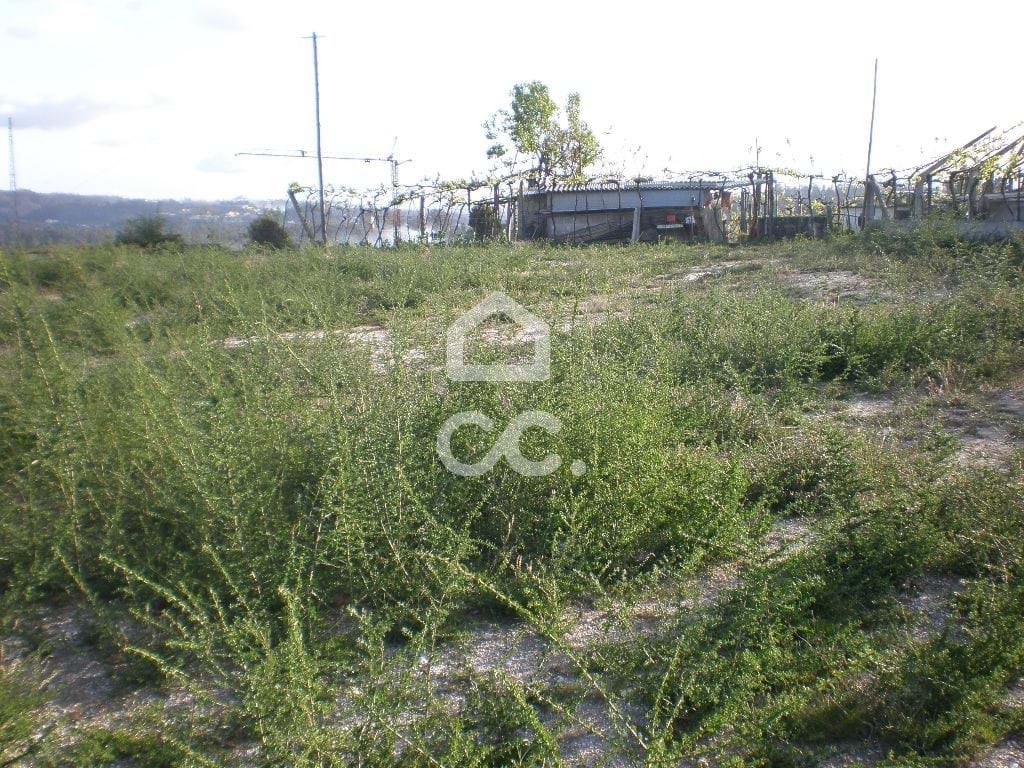 Plot / Land in Aveleda, Lousada, Porto