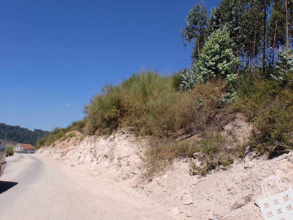 Plot / Land in Sousela, Lousada, Porto