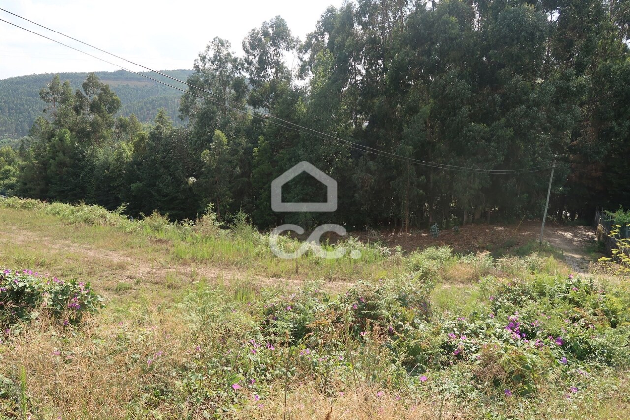 Plot / Land in Idães, Felgueiras, Porto