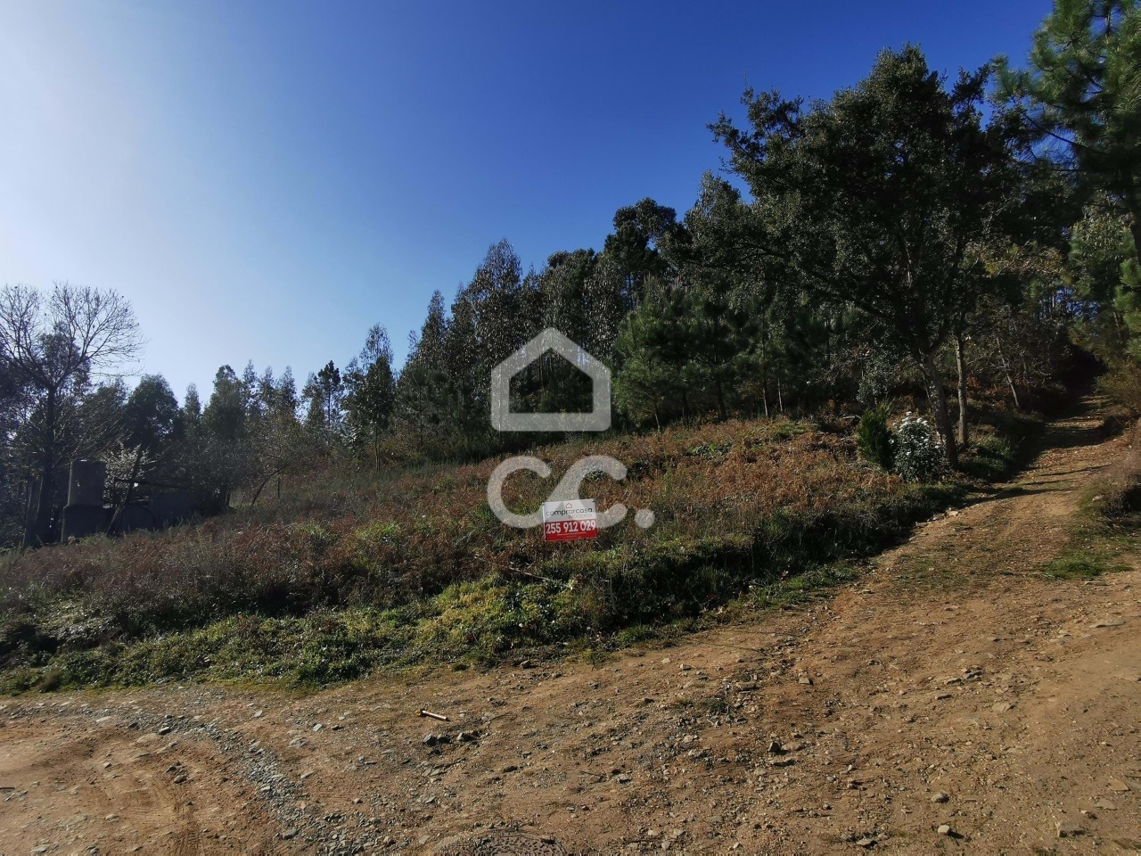 Plot / Land in Idães, Felgueiras, Porto