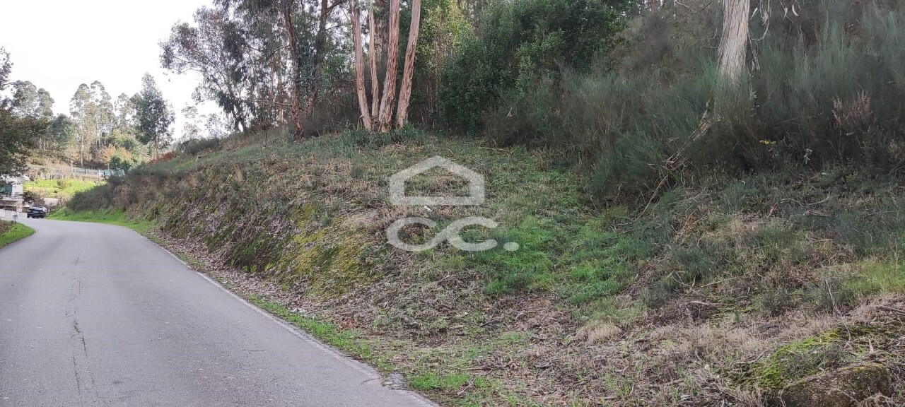 Plot / Land in Meinedo, Lousada, Porto
