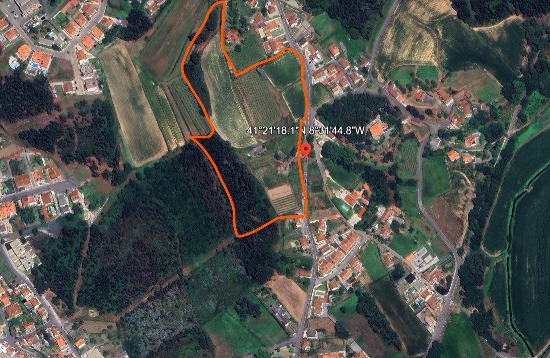 Boerderij in Vila Nova de Famalicão, Braga