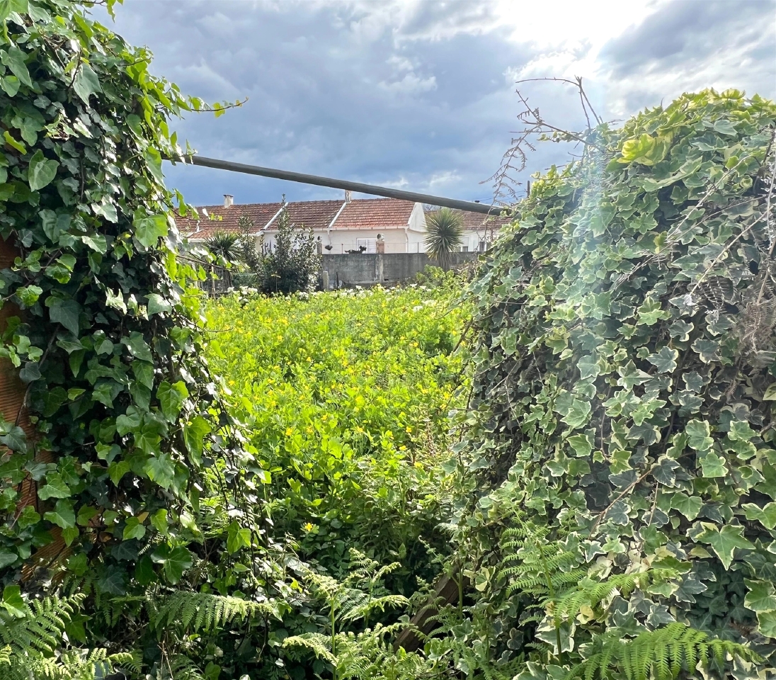 Perceel / Land in Porto