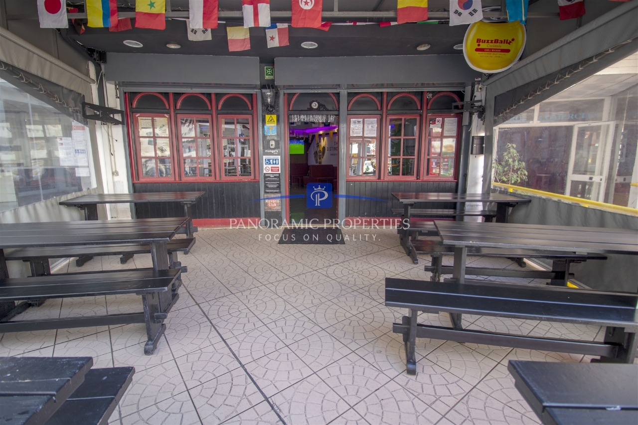 Commercial / Business in Lagoa, Western Algarve