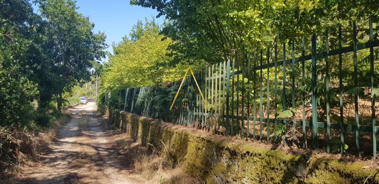 Plot / Land in Viseu