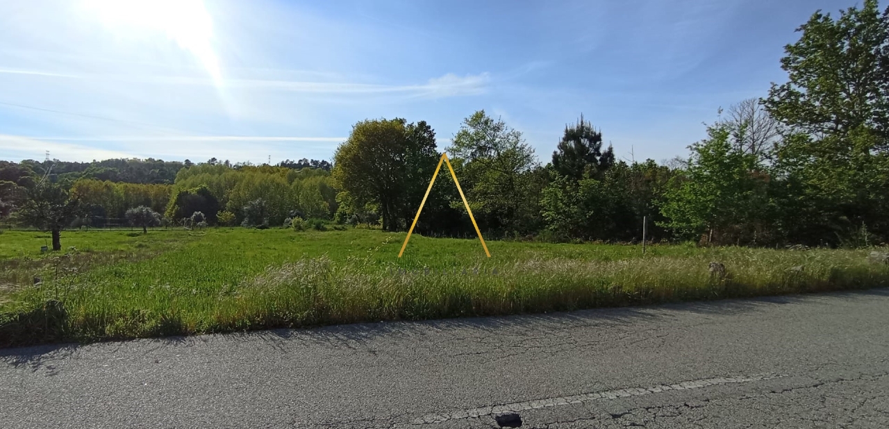 Plot / Land in Viseu