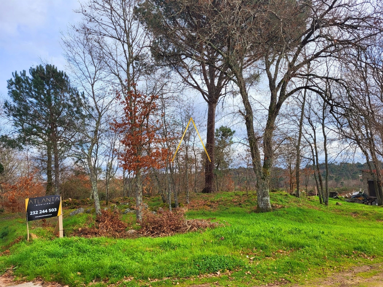 Plot / Land in Viseu