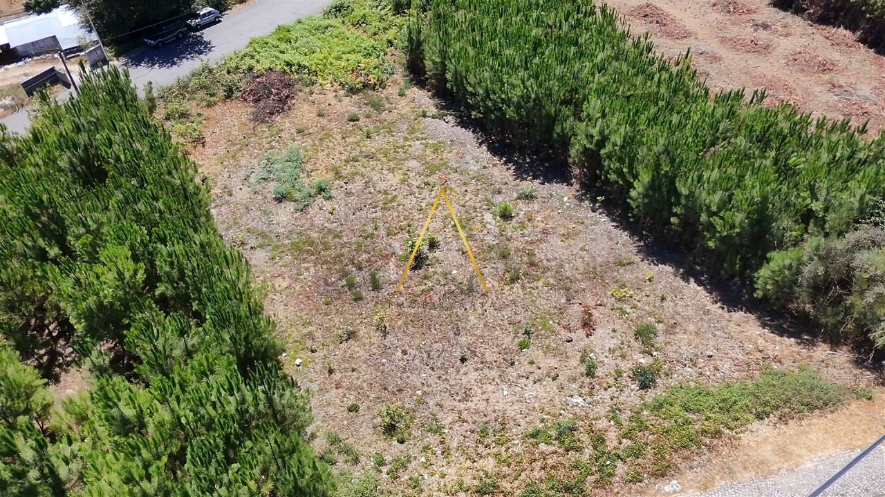 Plot / Land in Viseu