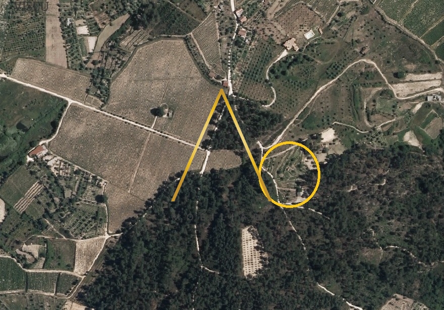 Plot / Land in Viseu