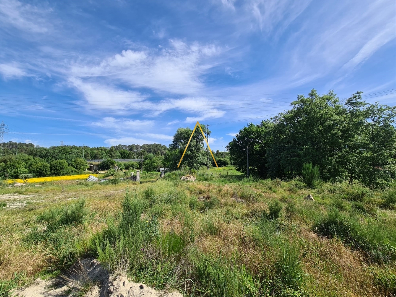 Plot / Land in Viseu