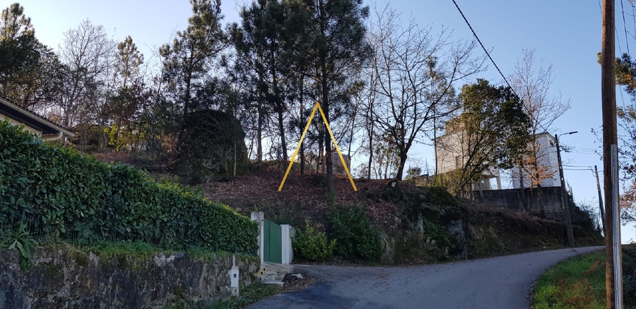 Plot / Land in Viseu