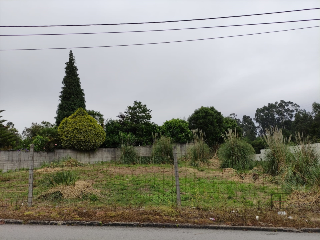 Plot / Land in Santa Maria da Feira, Aveiro