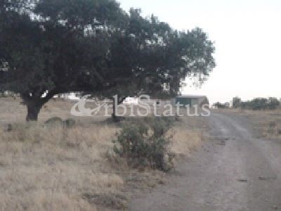 Plot / Land in Reguengos de Monsaraz, Évora