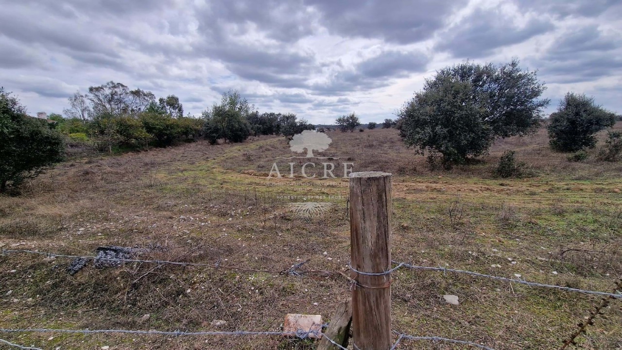 Perceel / Land in Bacelo, Évora