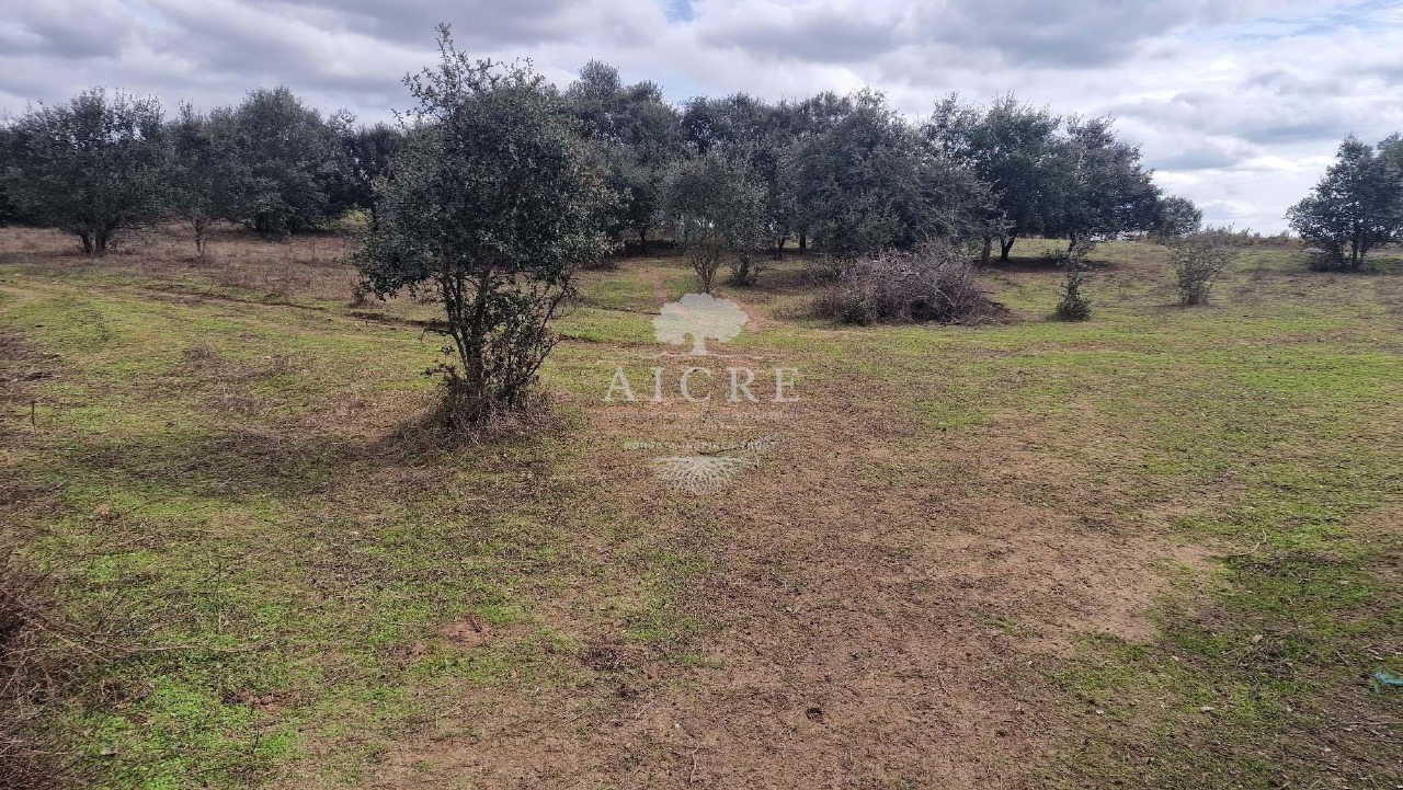 Plot / Land in Bacelo, Évora