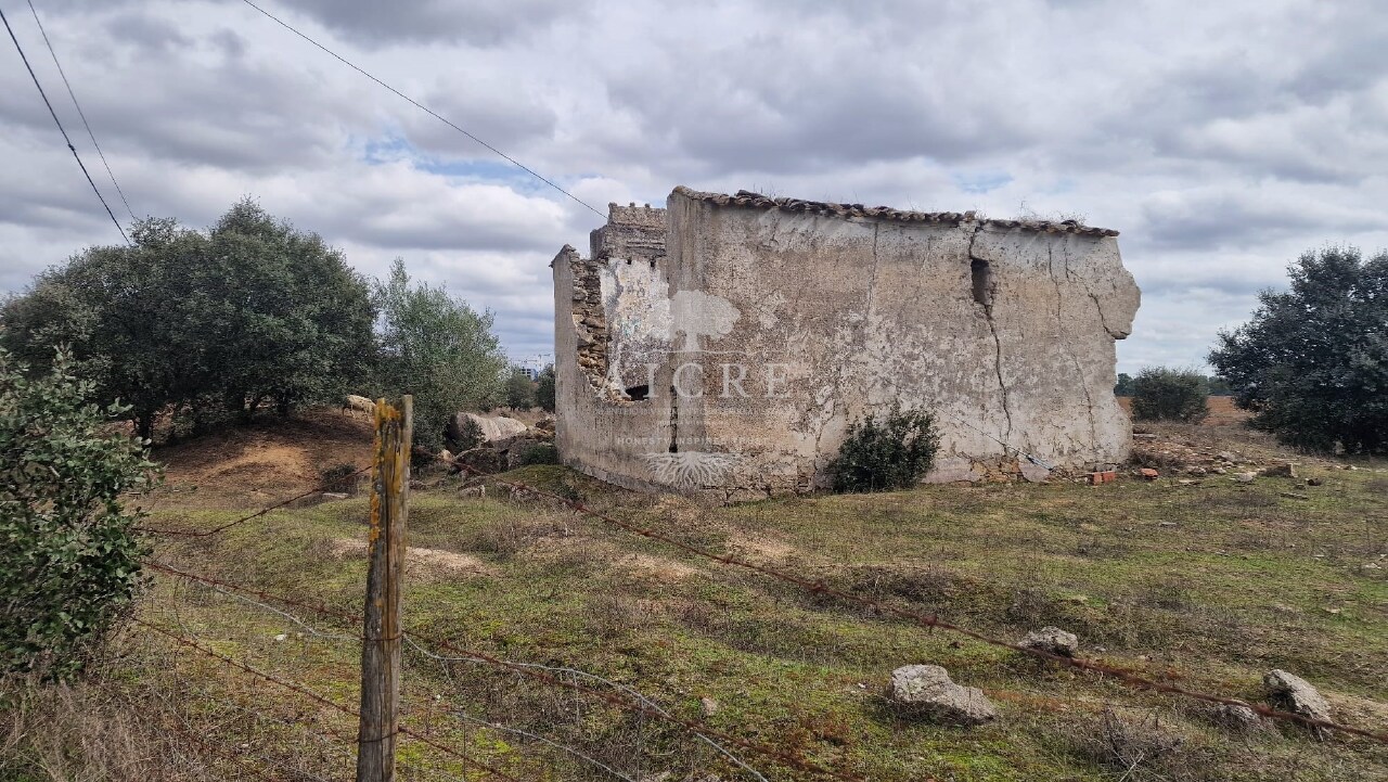 Plot / Land in Bacelo, Évora