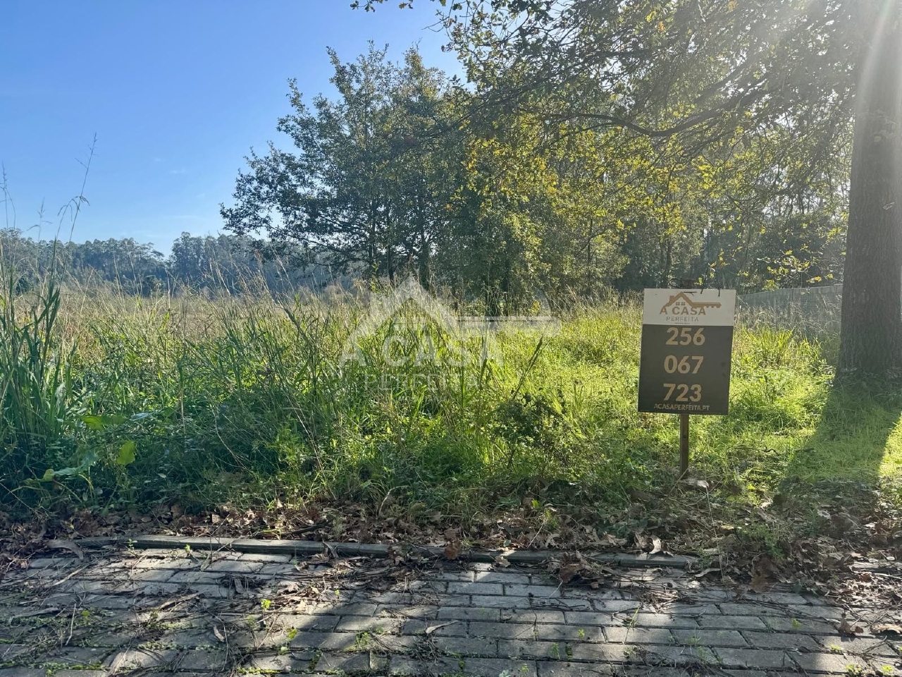 Plot / Land in Oliveira de Azeméis, Aveiro