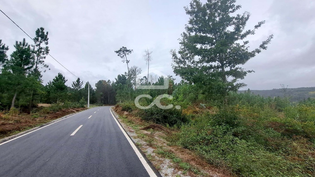 Plot / Land in Calde, Viseu